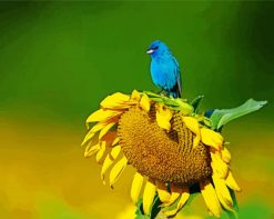 Blue Bird On Sunflower paint by numbers
