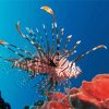Cool Lionfish paint by numbers