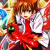 High school dxd Anime paint by numbers