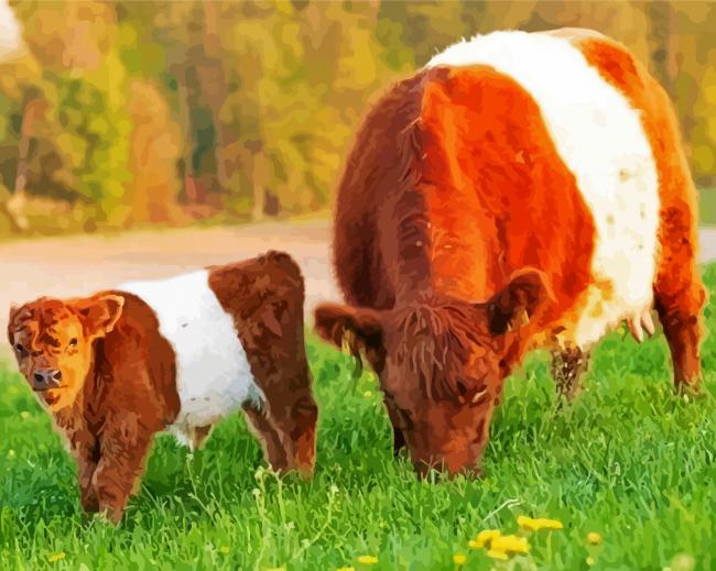 little Belted galloway and his mom paint by number