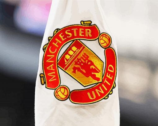 Manchester United FC Logo paint by numbers