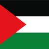 Palestine Flag paint by numbers
