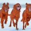 Running Irish Setter Dogs paint by numbers