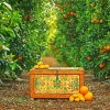 Aesthetic Orange Grove paint by numbers