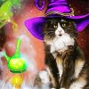 Aesthetic Wizard Cat paint by numbers