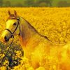 Aesthetic Yellow Horse paint by numbers