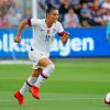 Ali Krieger Professional Player paint by numbers