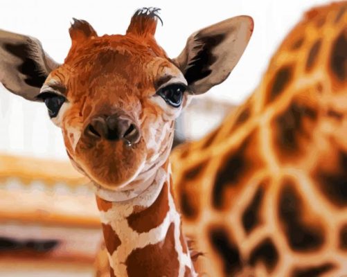 Baby Giraffe paint by numbers