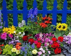 Beautiful Flowers And Fence paint by numbers