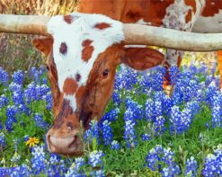 Bluebonnets And Langhorn paint by number