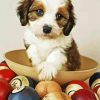 Cavachon Dog In Bowl paint by numbers