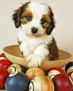 Cavachon Dog In Bowl paint by numbers
