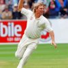 Chricket Player Shane Warne paint by numbers