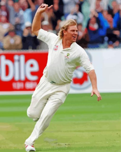 Chricket Player Shane Warne paint by numbers