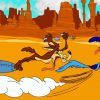 Coyote And Roadrunner paint by numbers