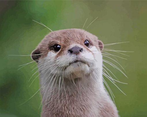 Cute Otter Head paint by numbers
