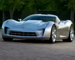 Grey Corvette Stingray Car XF paint by numbers