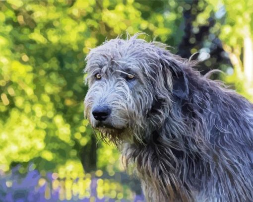 Grey Irish Wolfhound paint by numbers