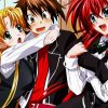 Highschool DXD Animes paint by numbers