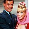 I Dream Of Jeannie Movie paint by numbers