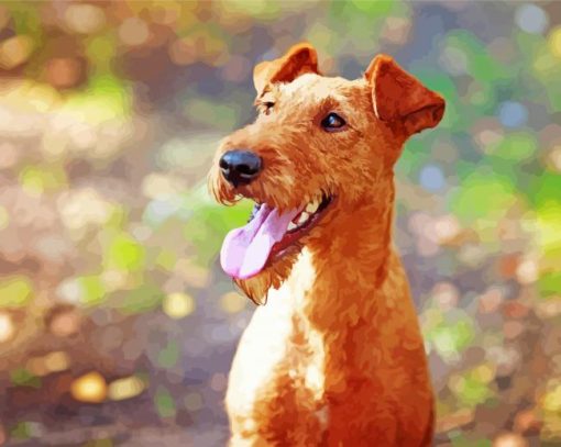 Irish terrier paint by numbers