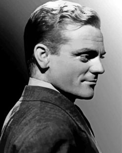 James Cagney Side Face paint by numbers