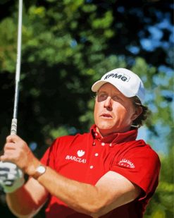 Phil Mickelson paint by numbers
