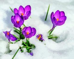 Purple Flowers In Snow paint by numbers