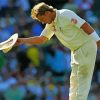 Shane Warne paint by numbers