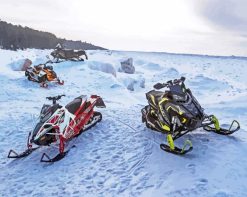 Snowmobiles paint by numbers