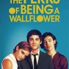 The Perks of being a wallflower Poster paint by number