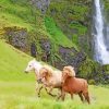 Waterfall Horses paint by number