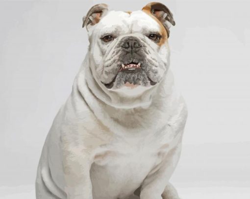 White Bulldog Breed paint by numbers