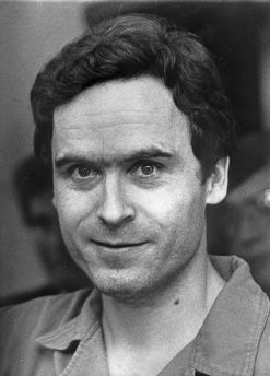 Aesthetic Ted Bundy paint by numbers