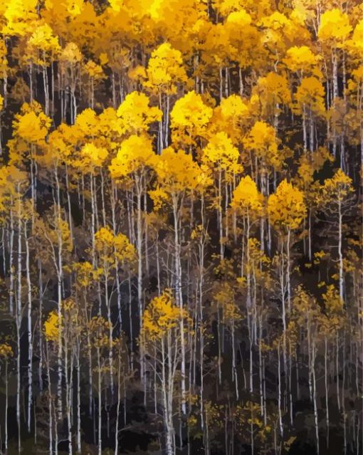Aspen Trees paint by numbers