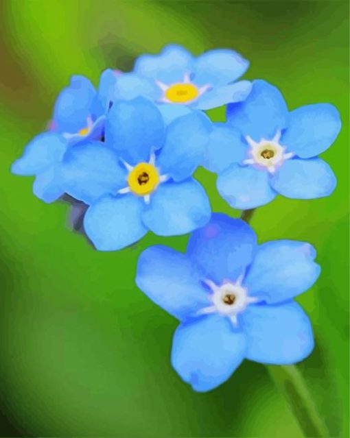 Forget Me Not Flowers paint by numbers