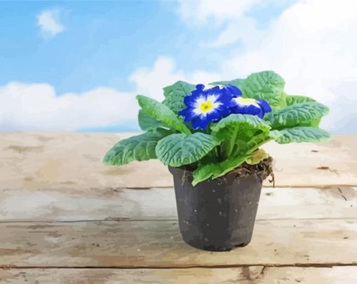 Blue Potted Primrose Auriculas paint by numbers