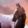 Cob Horse Sunset paint by numbers