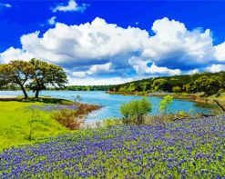 Hill Country Texas Landscape paint by numbers
