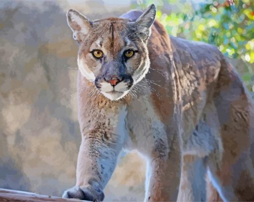 Mountain Lion paint by numbers