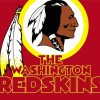 Redskins Logo paint by number