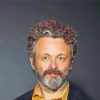 The Actor Michael Sheen paint by number