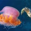 Turtle And Pink Jellyfish paint by number