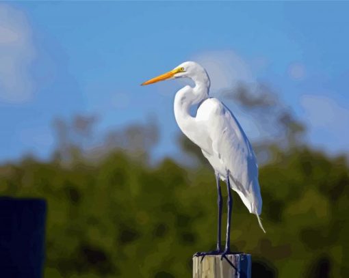 White Herron paint by numbers