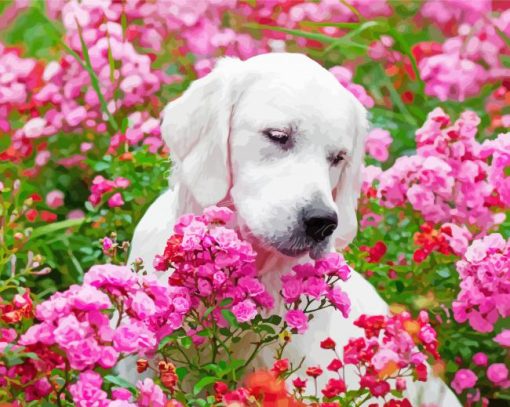 White Labrador Small Puppy Pink Flowers paint by numbers