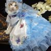 Beautiful Cat In Dress paint by numbers