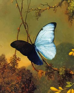 Blue Morpho Butterfly Martin Johnson paint by numbers