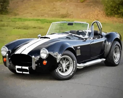Classic Ford Shelby Cobra paint by numbers