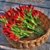 Hot Peppers In Basket paint by numbers