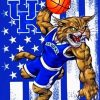Kentucky Wildcats Basketball Team paint by numbers